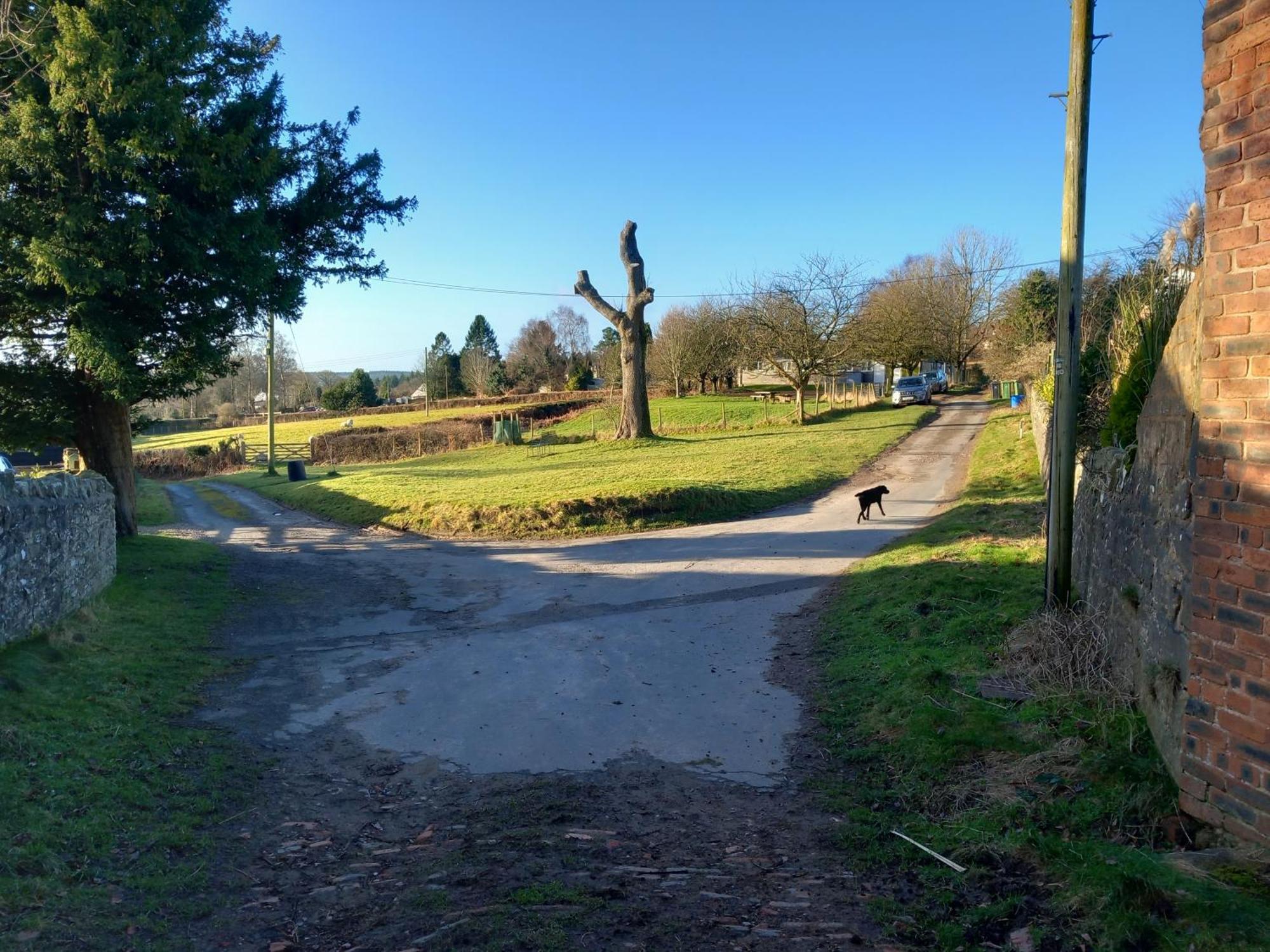 The Bungalow, Forest Of Dean Coleford  Exterior foto