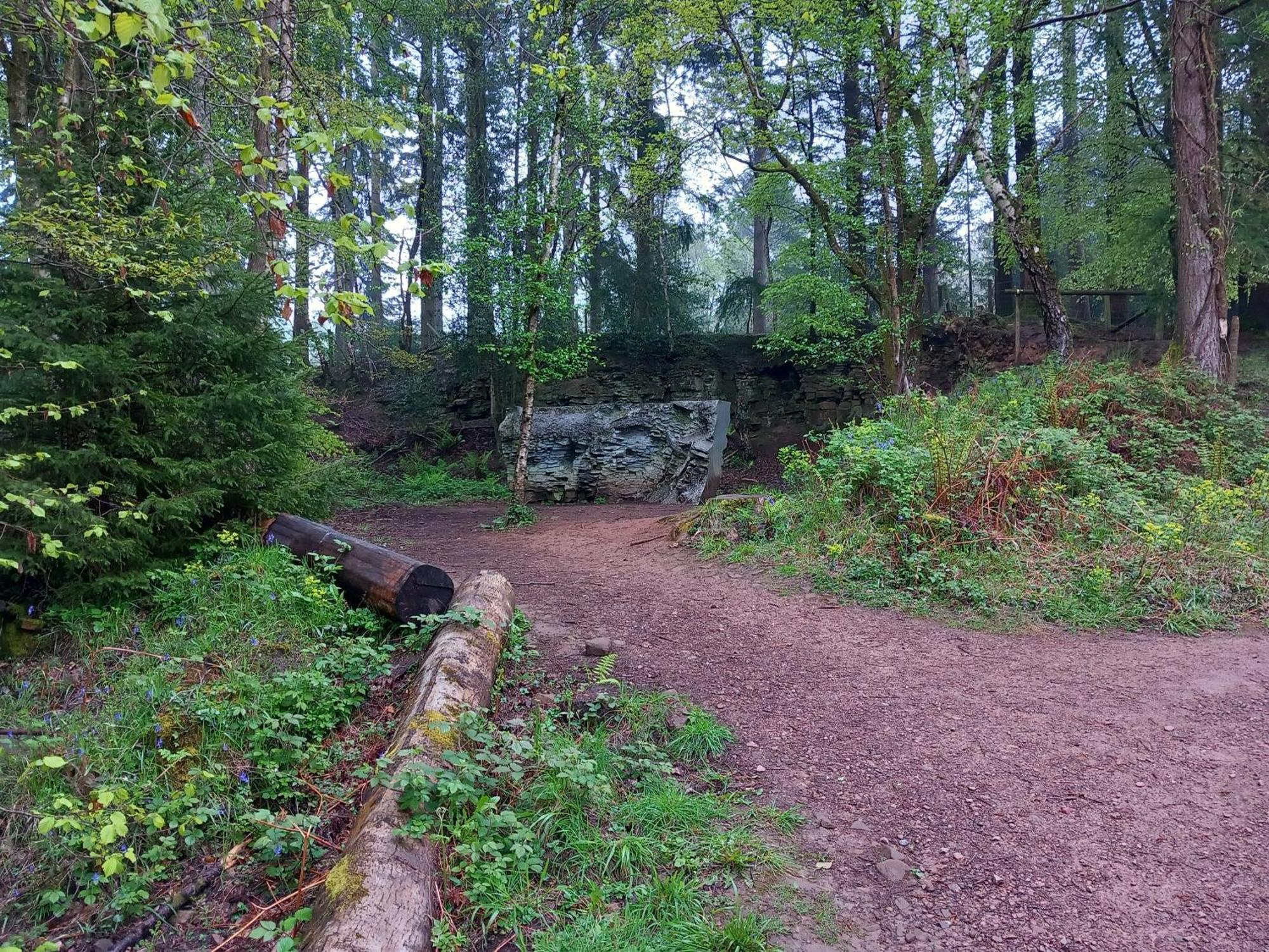 The Bungalow, Forest Of Dean Coleford  Exterior foto